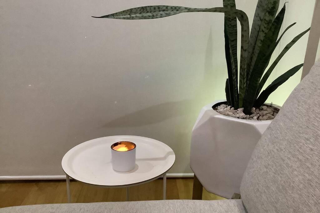 Design By “la Mexicana” Park In Luxury Tower Apartment *